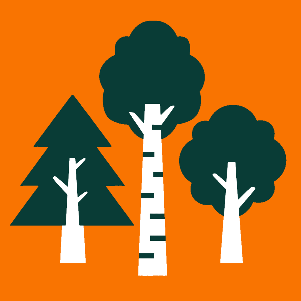 RTN Logo